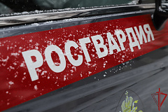Росгвардейцы оперативно помогают гражданам, попавшим в экстренные  ситуации на улицах Москвы